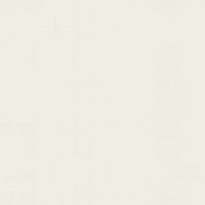 Aesthetic White
