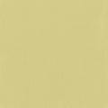 Little Explorer Kids' Drapes/Curtains 1458