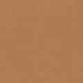 Little Explorer Kids' Drapes/Curtains 1458