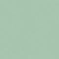 Little Explorer Kids' Blackout Roller Shades 1528