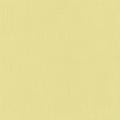 Little Explorer Kids' Drapes/Curtains 1458