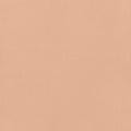 Little Explorer Kids' Blackout Roller Shades 1528