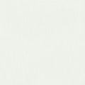 Little Explorer Kids' Blackout Roller Shades 1528