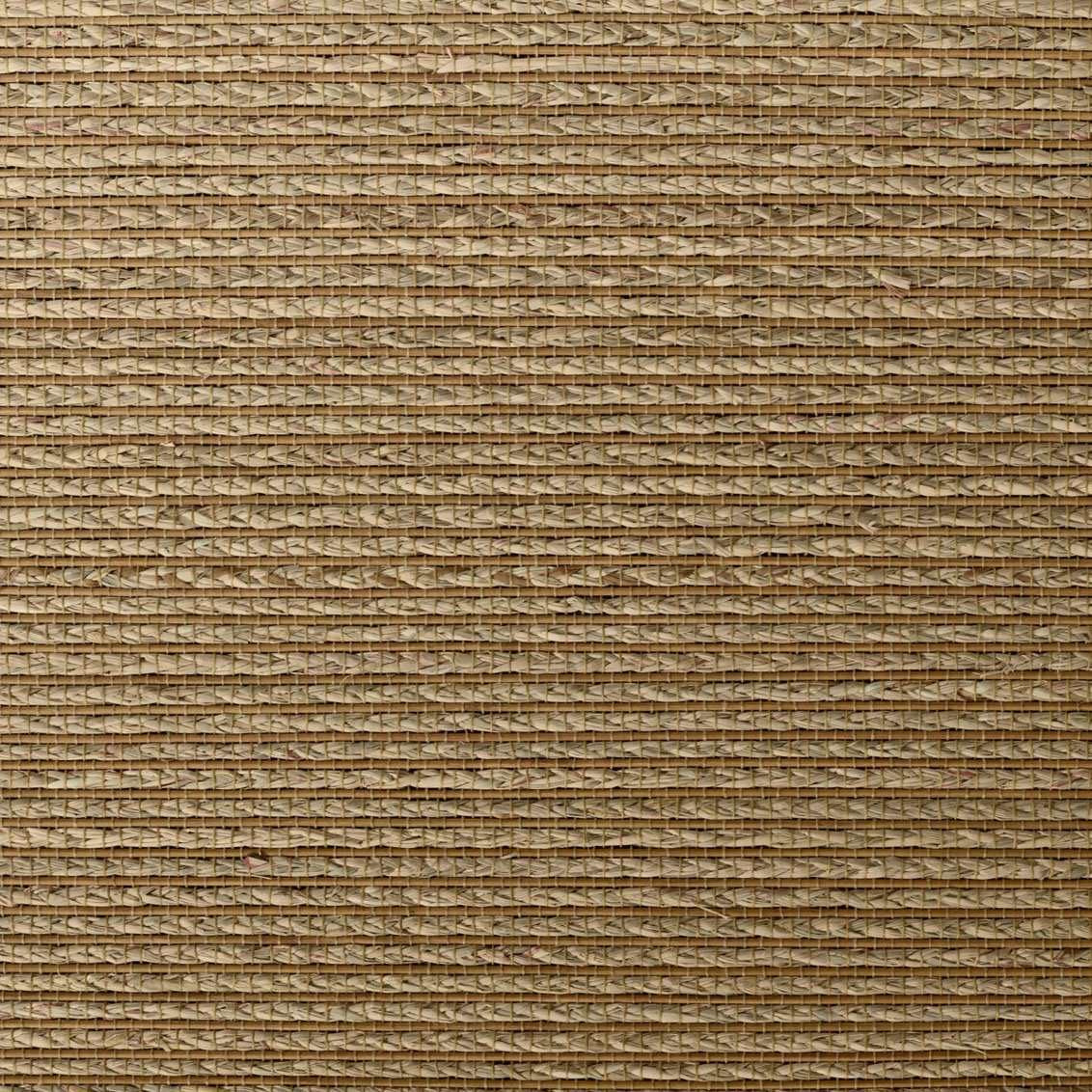 Bali Pecan