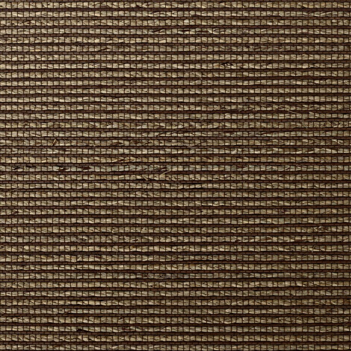 Bali Reeds
