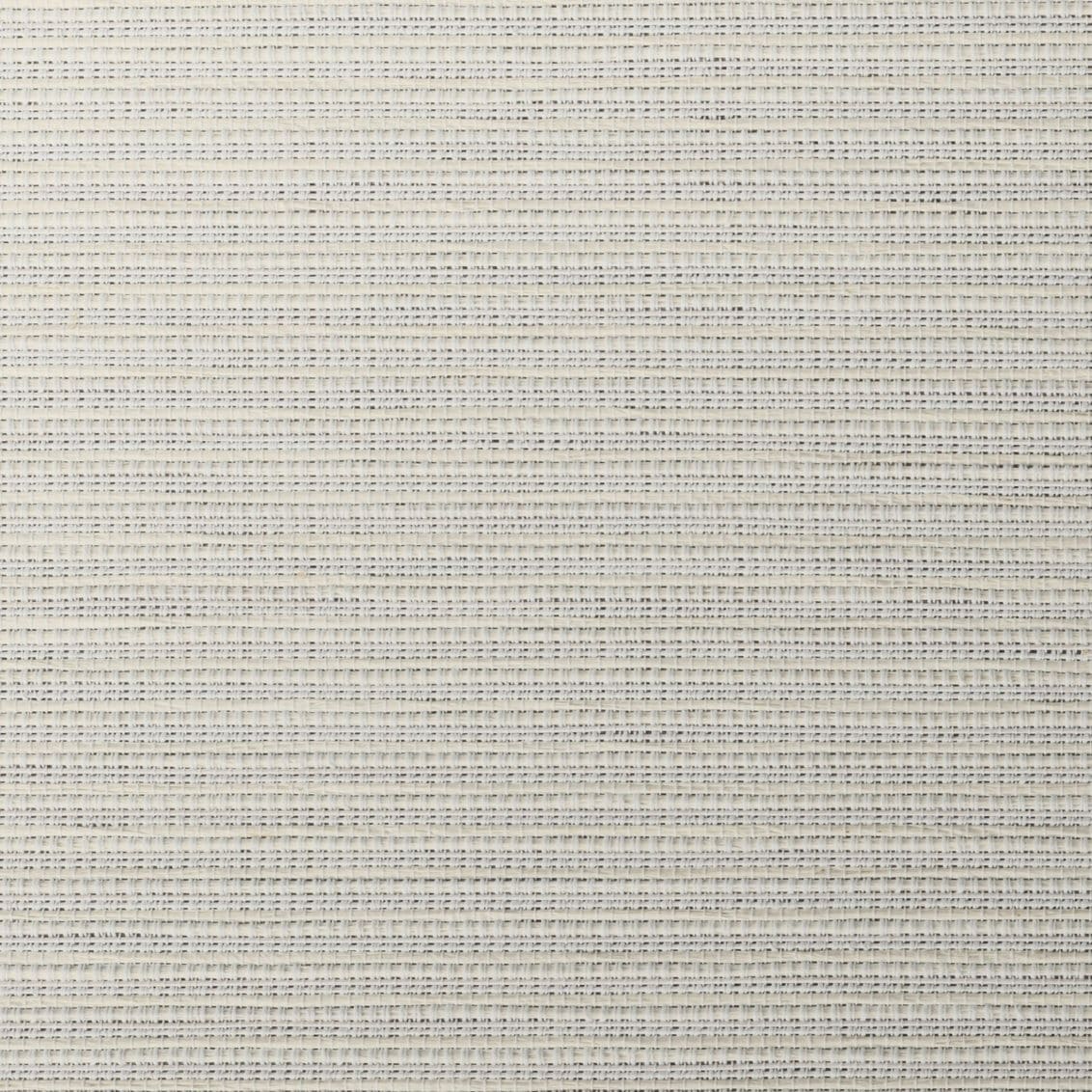 Barbados Shell