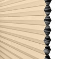 Select Top-Down Bottom-Up Blackout Honeycomb Shades 1643
