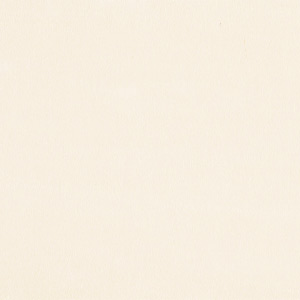 Birch Sandblast