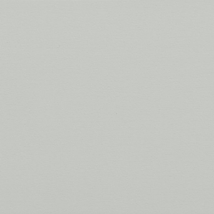 Casual Gray