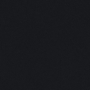 Ebony canvas