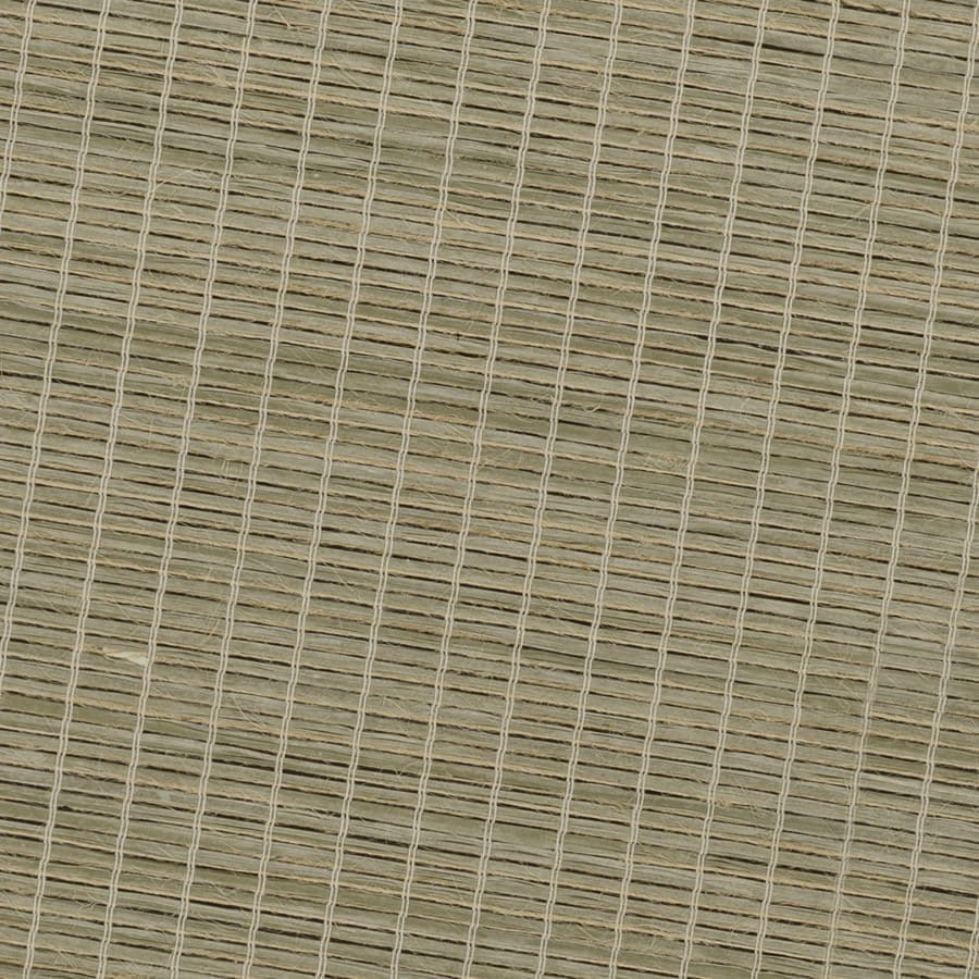 Elm