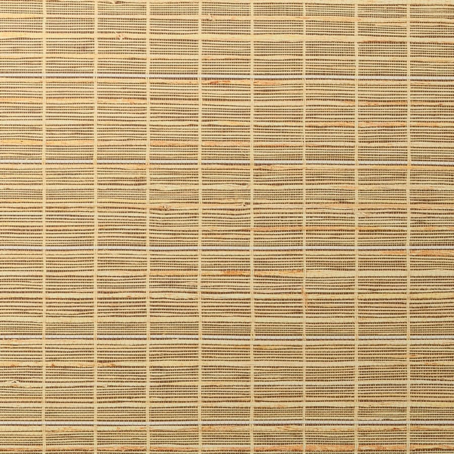 Golden Birch