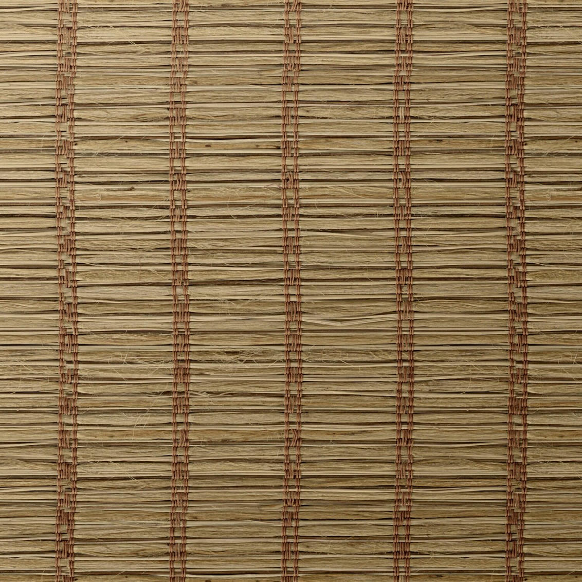 Jute Wheat
