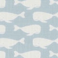 Little Explorer Kids' Drapes/Curtains 1458