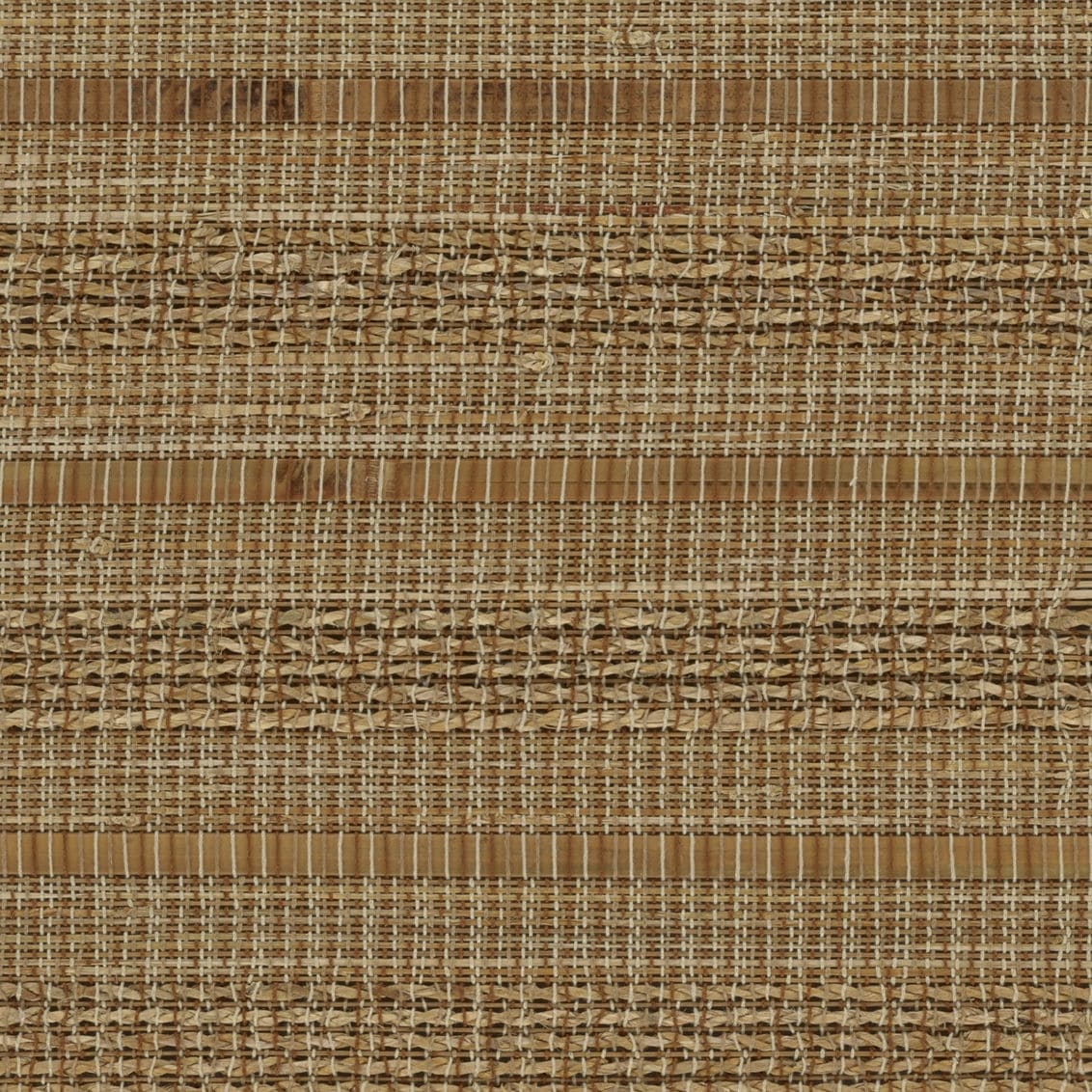 Maize