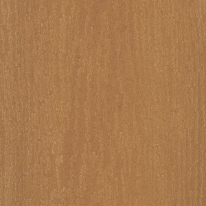 Maple dark