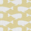 Little Explorer Kids' Blackout Roller Shades 1528