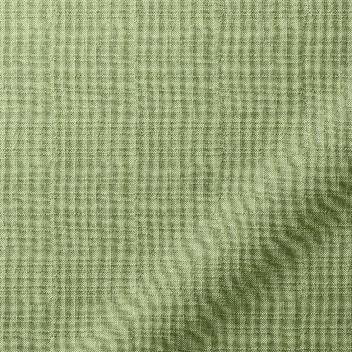 Muted Moss