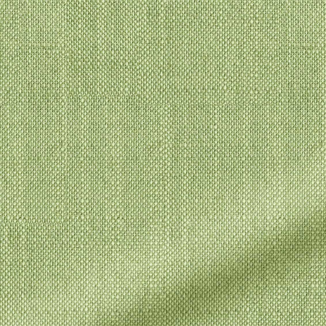 Muted Moss