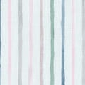 Little Explorer Kids' Blackout Roller Shades 1528