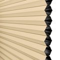 Value Cordless Blackout Honeycomb Shades 1242