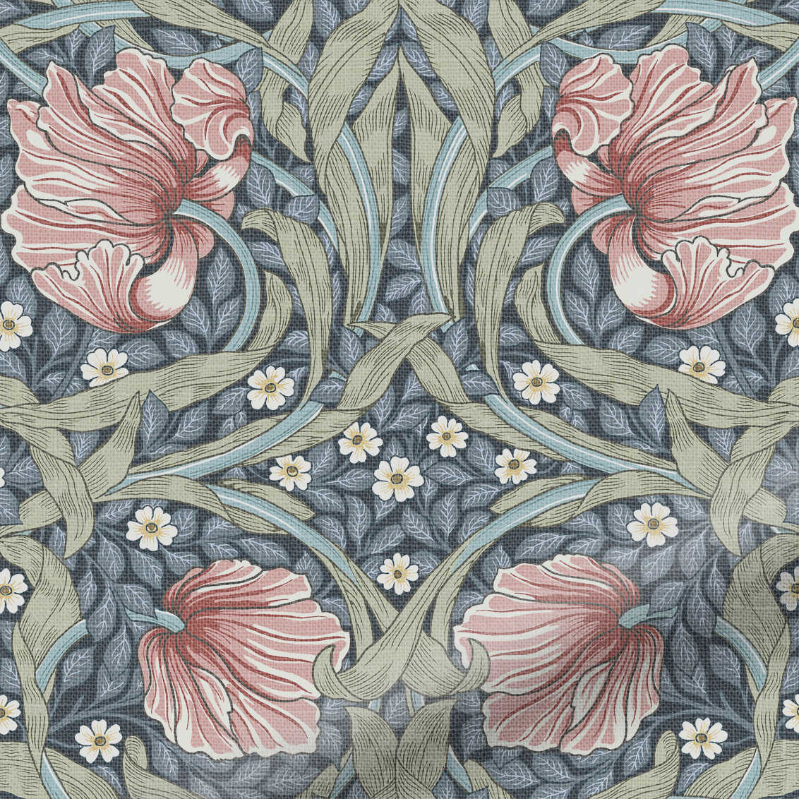 Pimpernel Blush