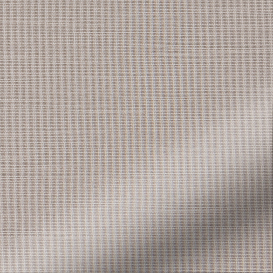 Sahara