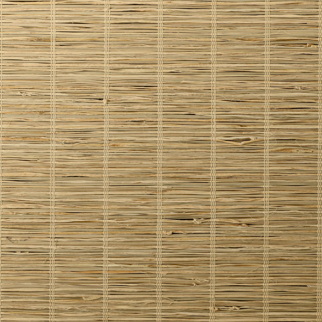 Savannah Grass