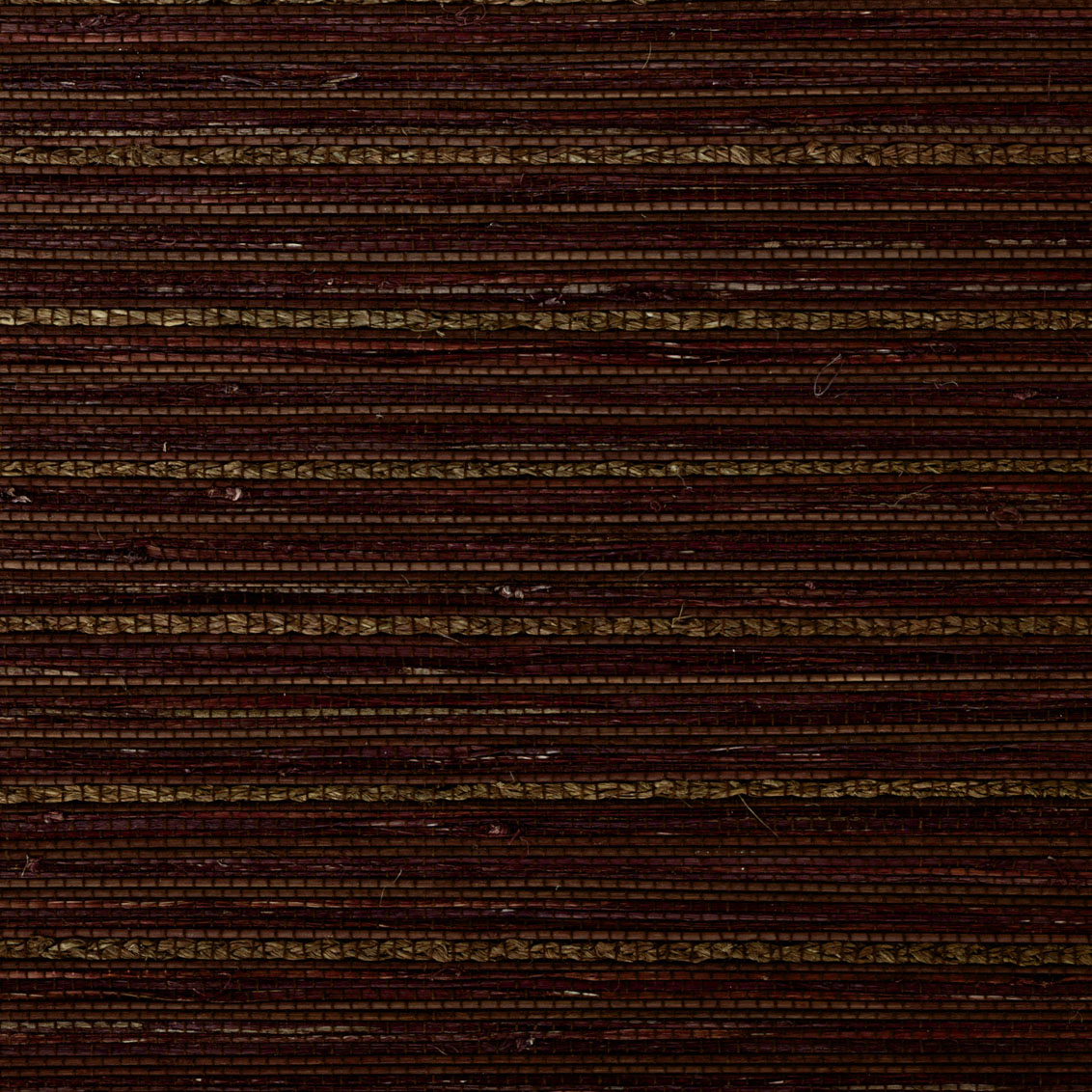 Seaside Bark