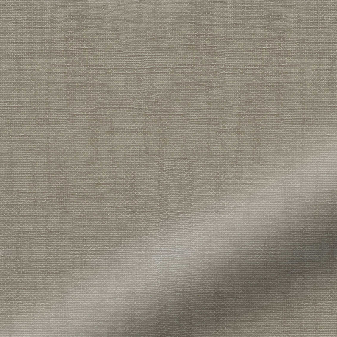 Sheer Beige Crepe