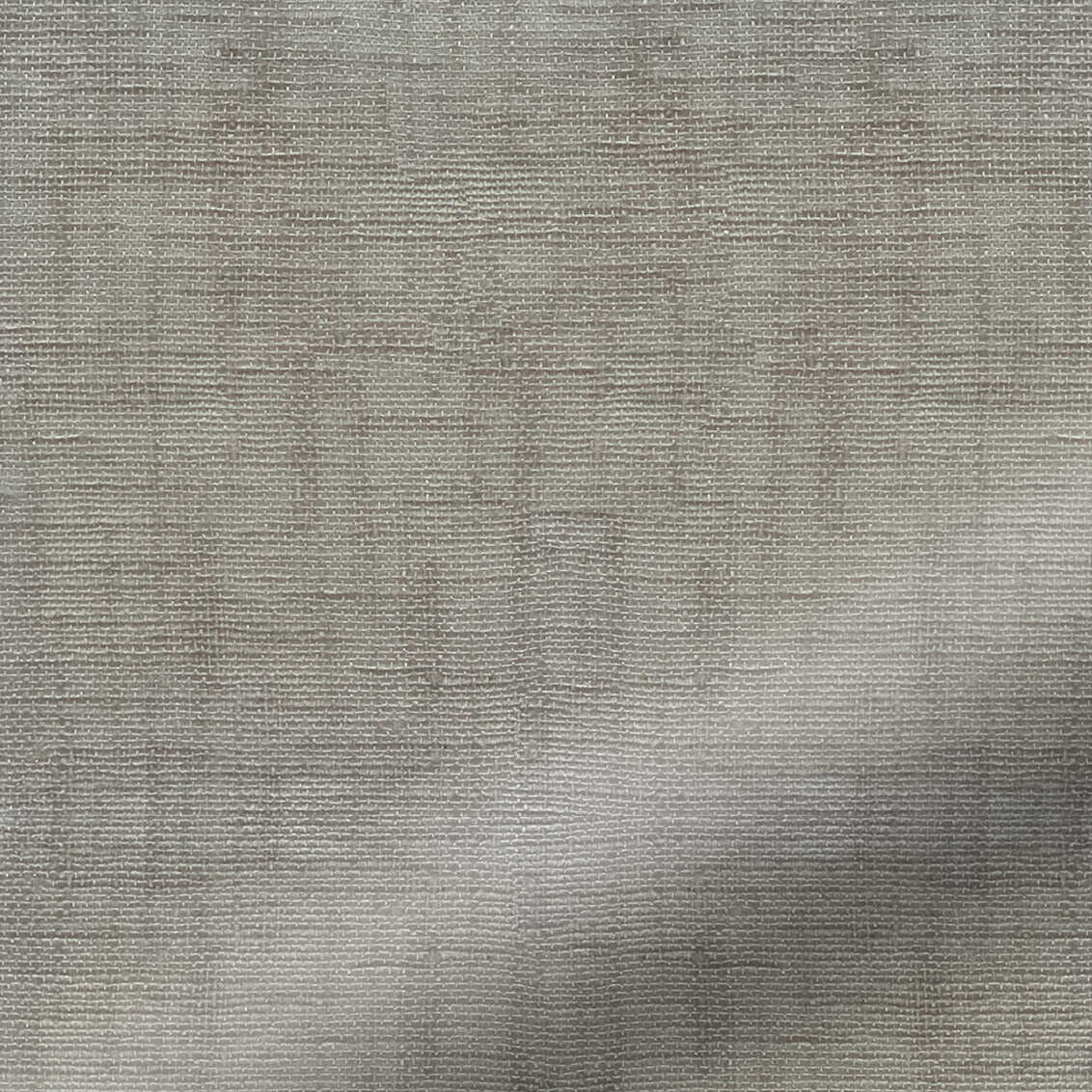 Sheer Greige Crepe