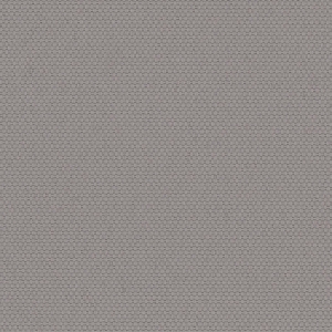 Silver Sky
