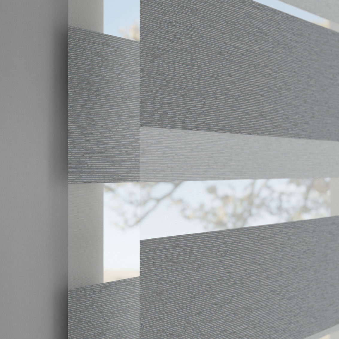 Silvered Grey
