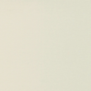 Snowdrift