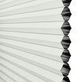 Select Two Fabric Top-Down Bottom-Up Blackout Cellular Shades 1516