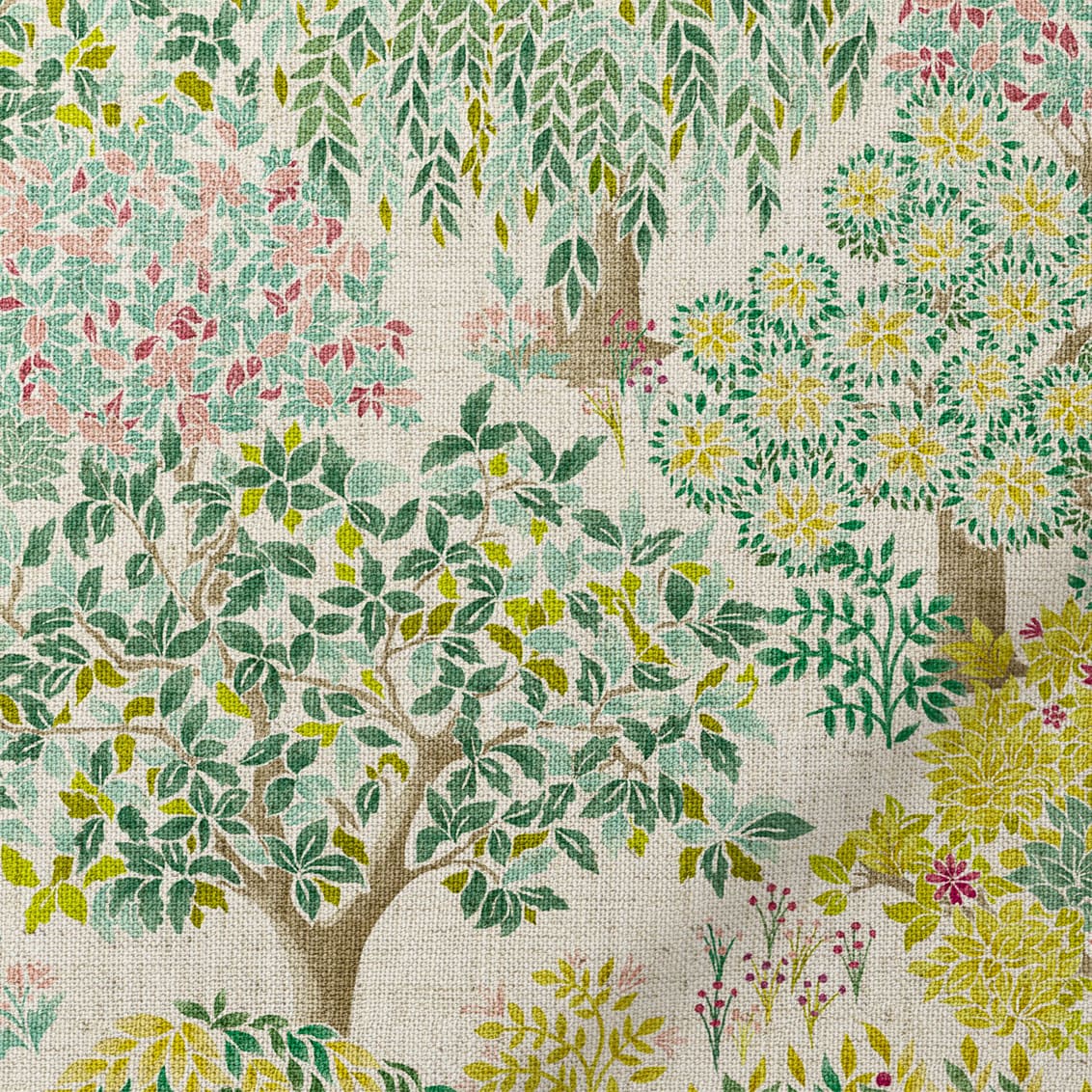 Tatton Candy Olive