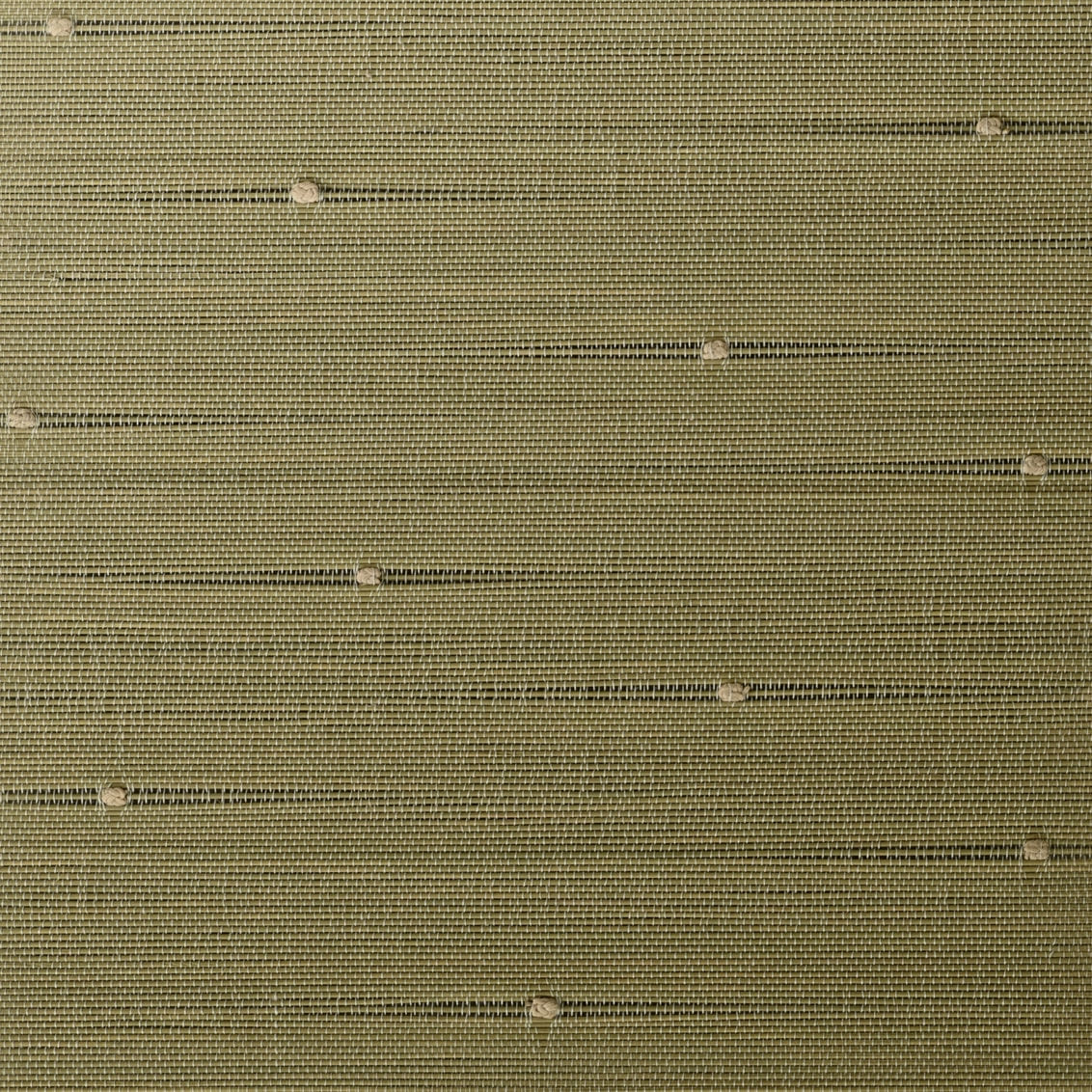 Tuscan Olive