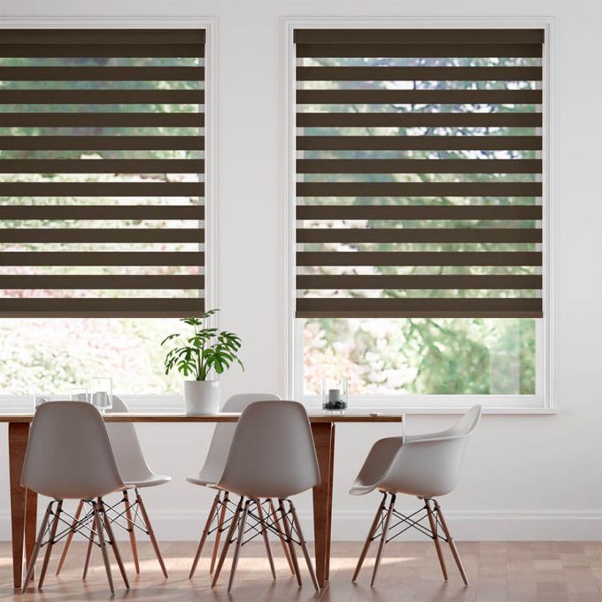 Value Light Filtering Zebra Blinds 5779