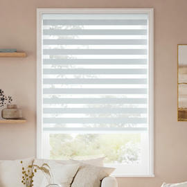 Value Light Filtering Zebra Blinds