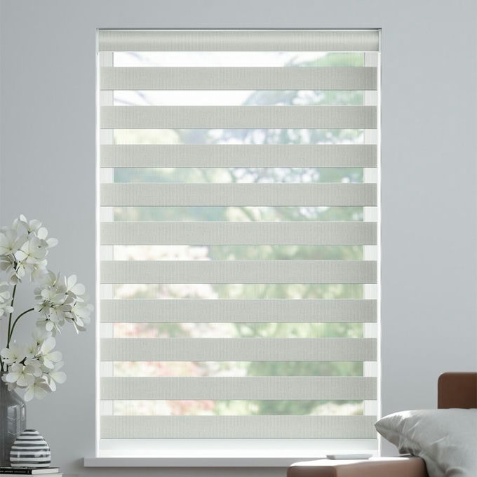 Value Room Darkening Zebra Blinds