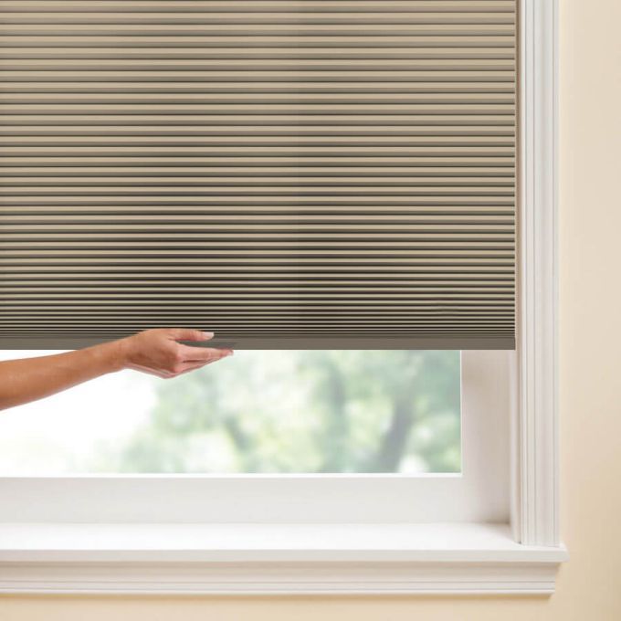 3/4" Single Cell Value Plus Blackout Honeycomb Shades 5682