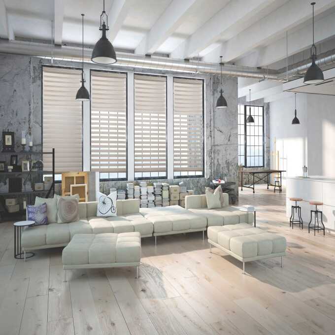 Designer Double Zebra/Roller Shades 9785