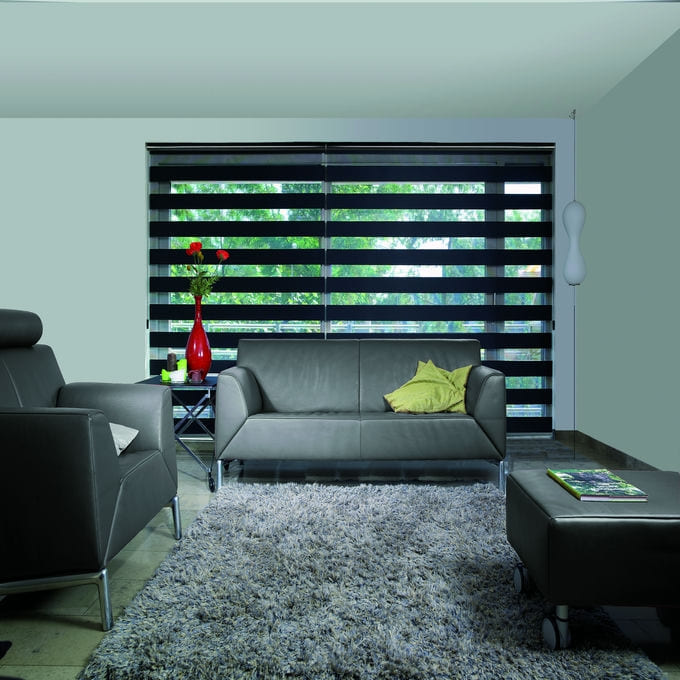 Designer Luxe Light Filtering Zebra Blinds 10203