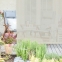 Designer Outdoor Solar Roller Shades 10130 Thumbnail