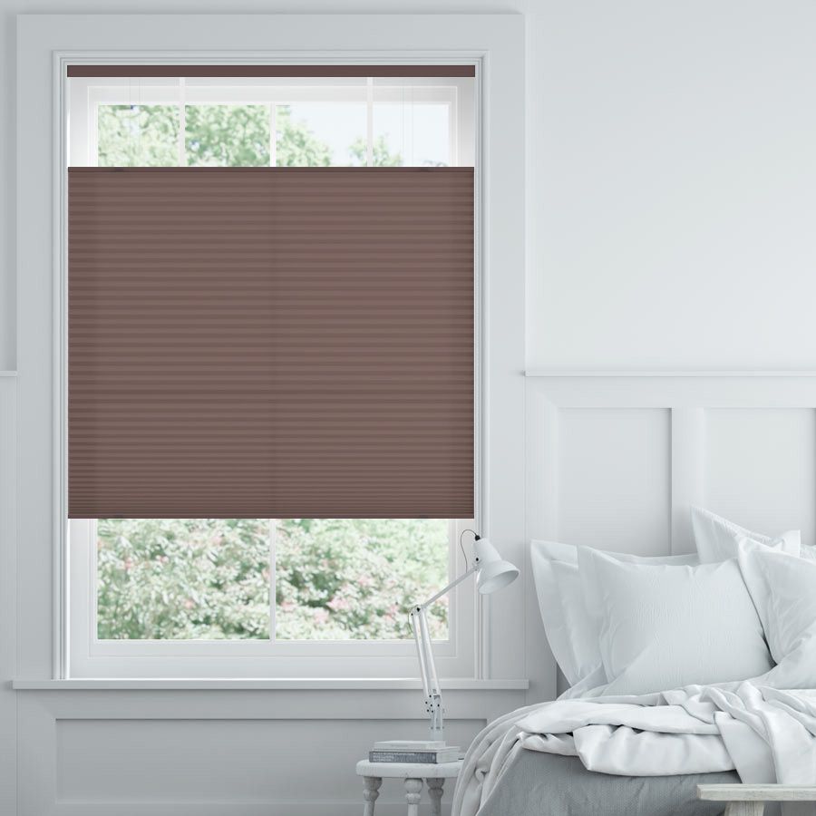 Premium Top-Down Bottom-Up Light Filtering Honeycomb Shades 9821