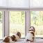 Select Two Fabric Top-Down Bottom-Up Blackout Cellular Shades 9210 Thumbnail