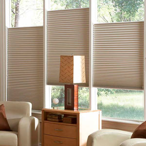 Control light & privacy