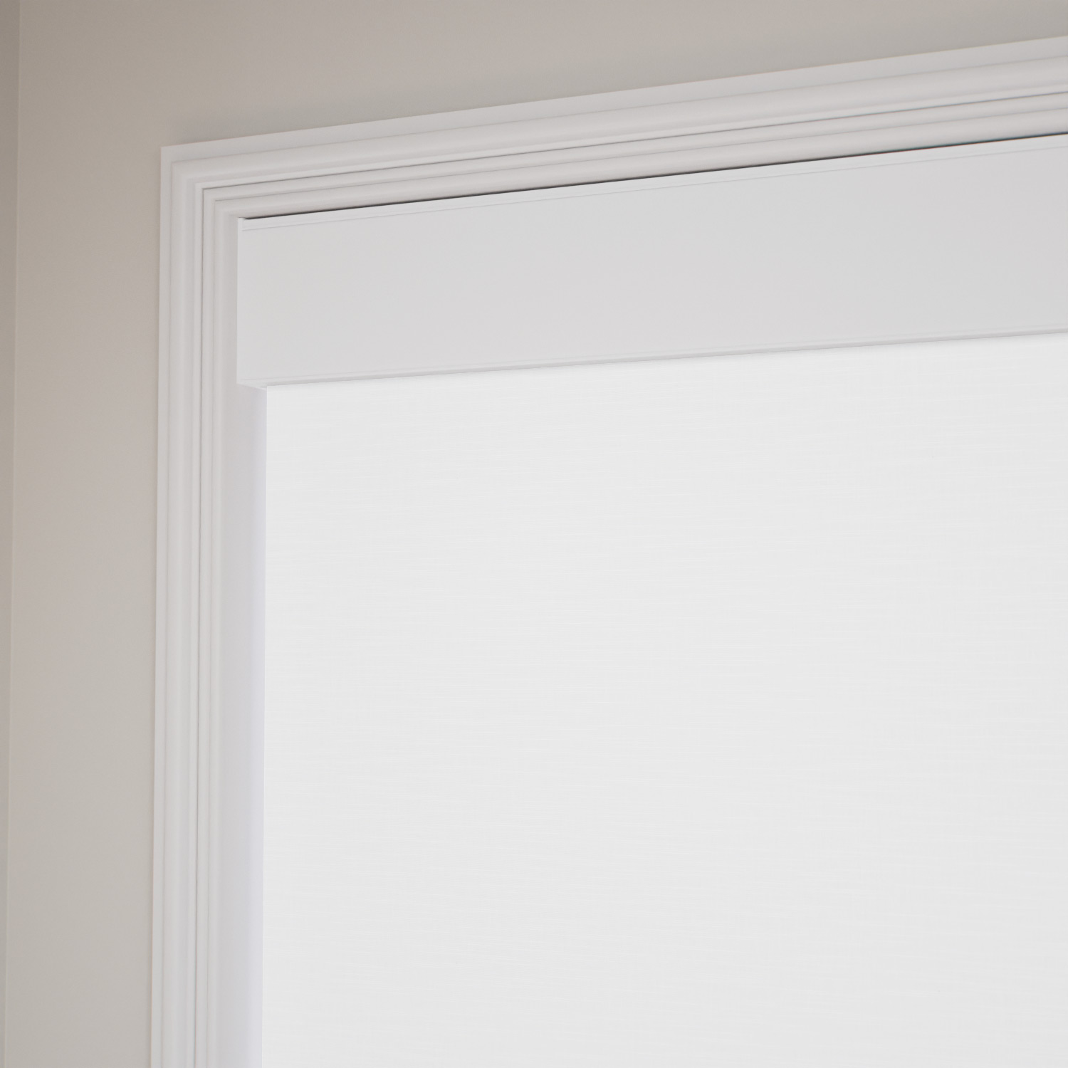 Classic Double Roller Shades 1599