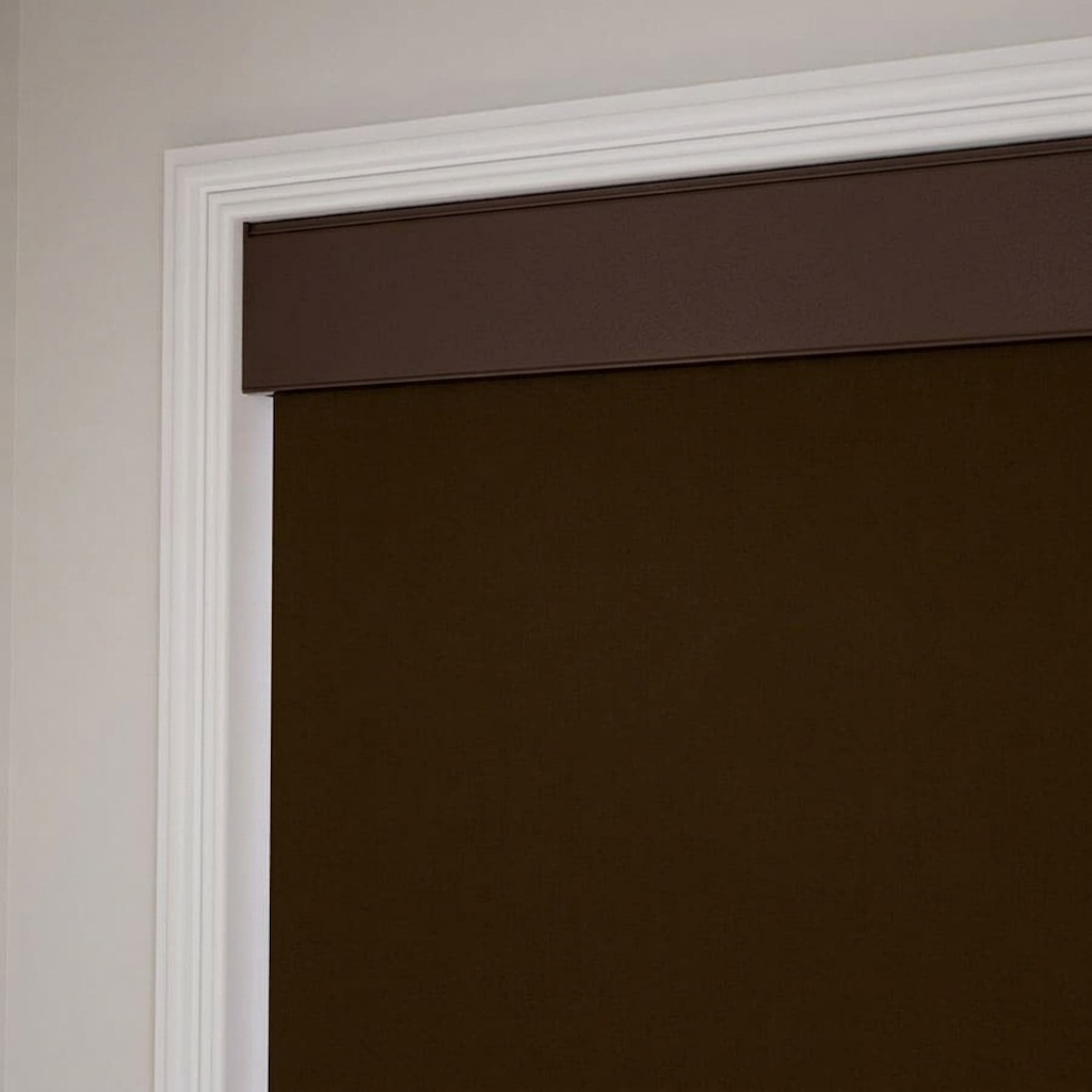 Classic Double Roller Shades 1599