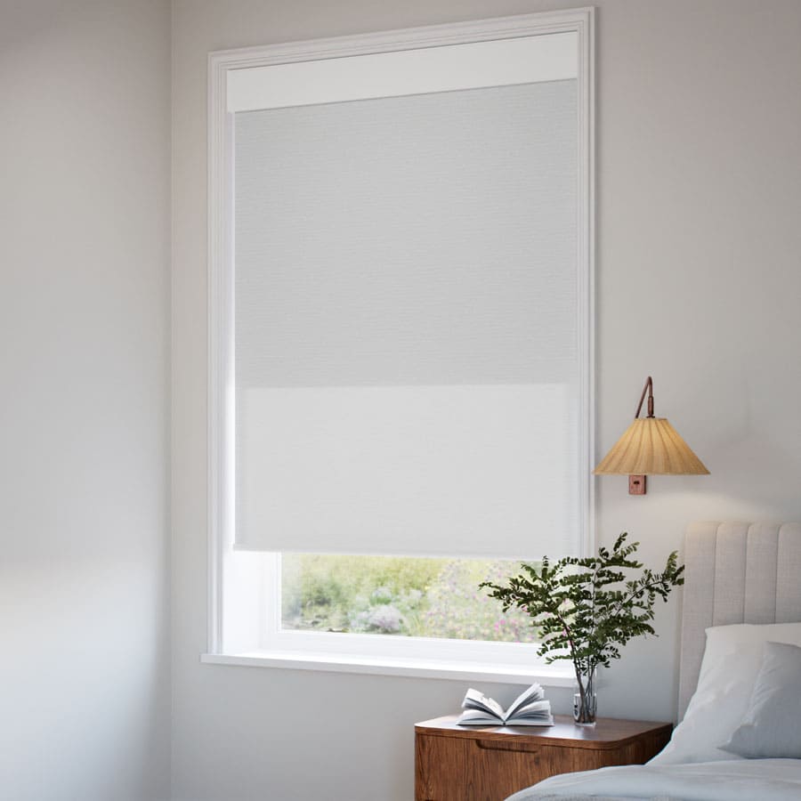 Classic Double Roller Shades 1599